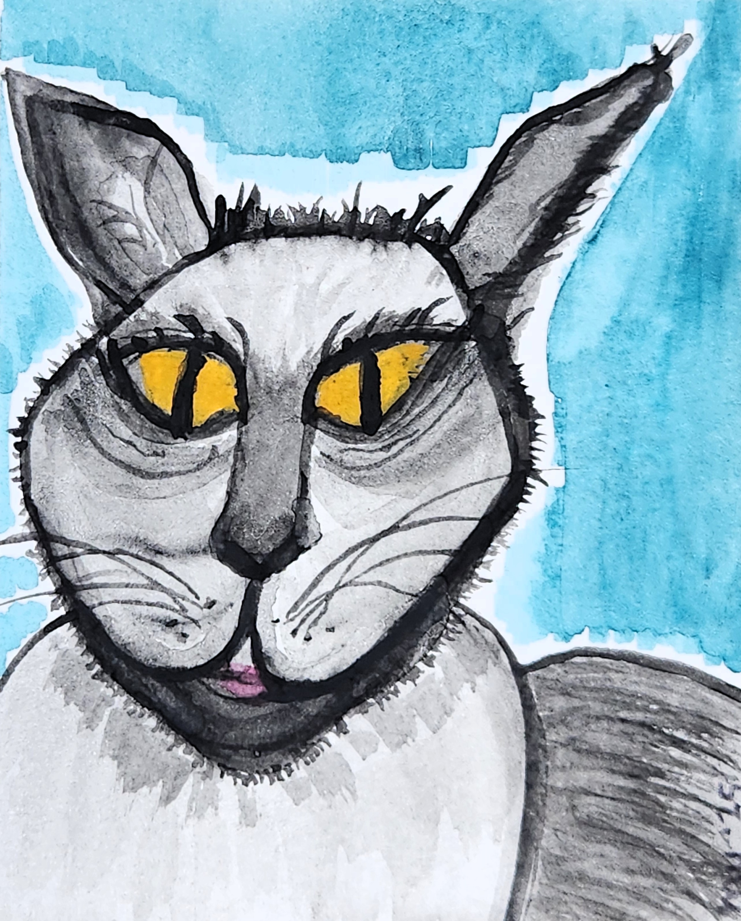 Cat Got Your Tongue?